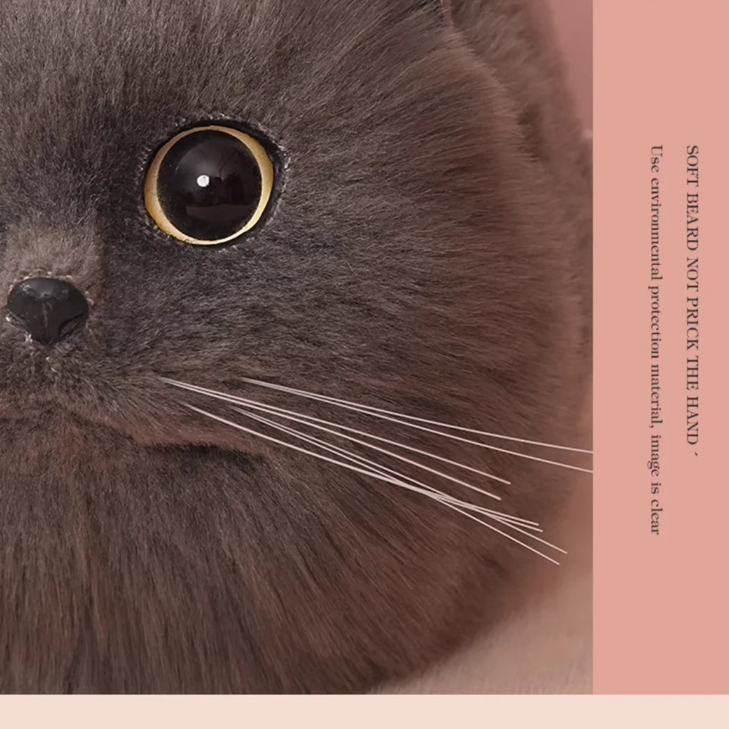 Scab4c74b37694c45b532447337a8b141Q