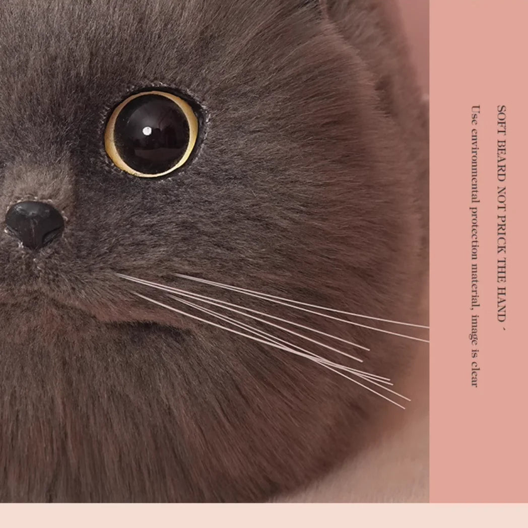 Scab4c74b37694c45b532447337a8b141Q